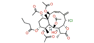 Briarein B